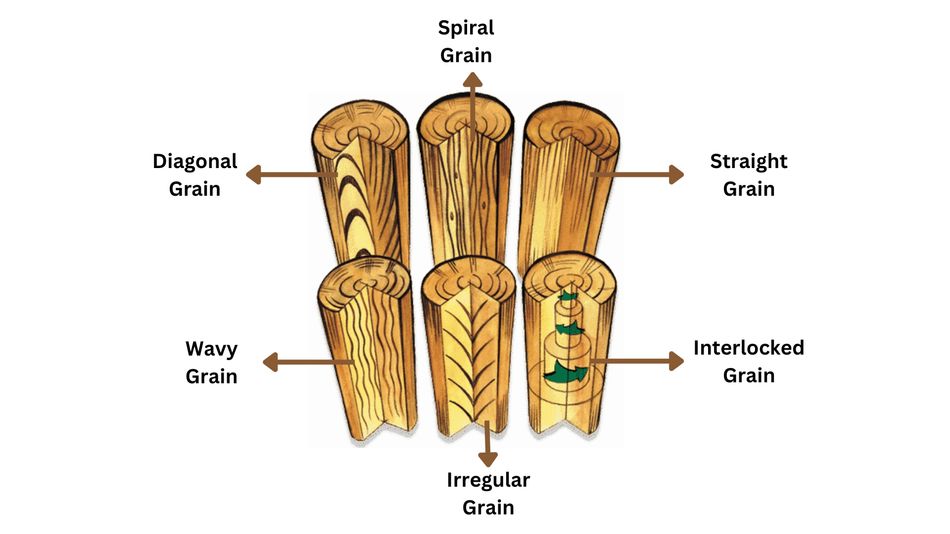 Grain Types (Credit :
https://web.mst.edu/jthomas/classes/2211/lessons/wood/wood_grain/logs.gif)